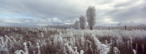 <div class='slide_img_title'>Hoar Frost</div><div class='slide_img_desc'>Alexandra, New Zealand</div>